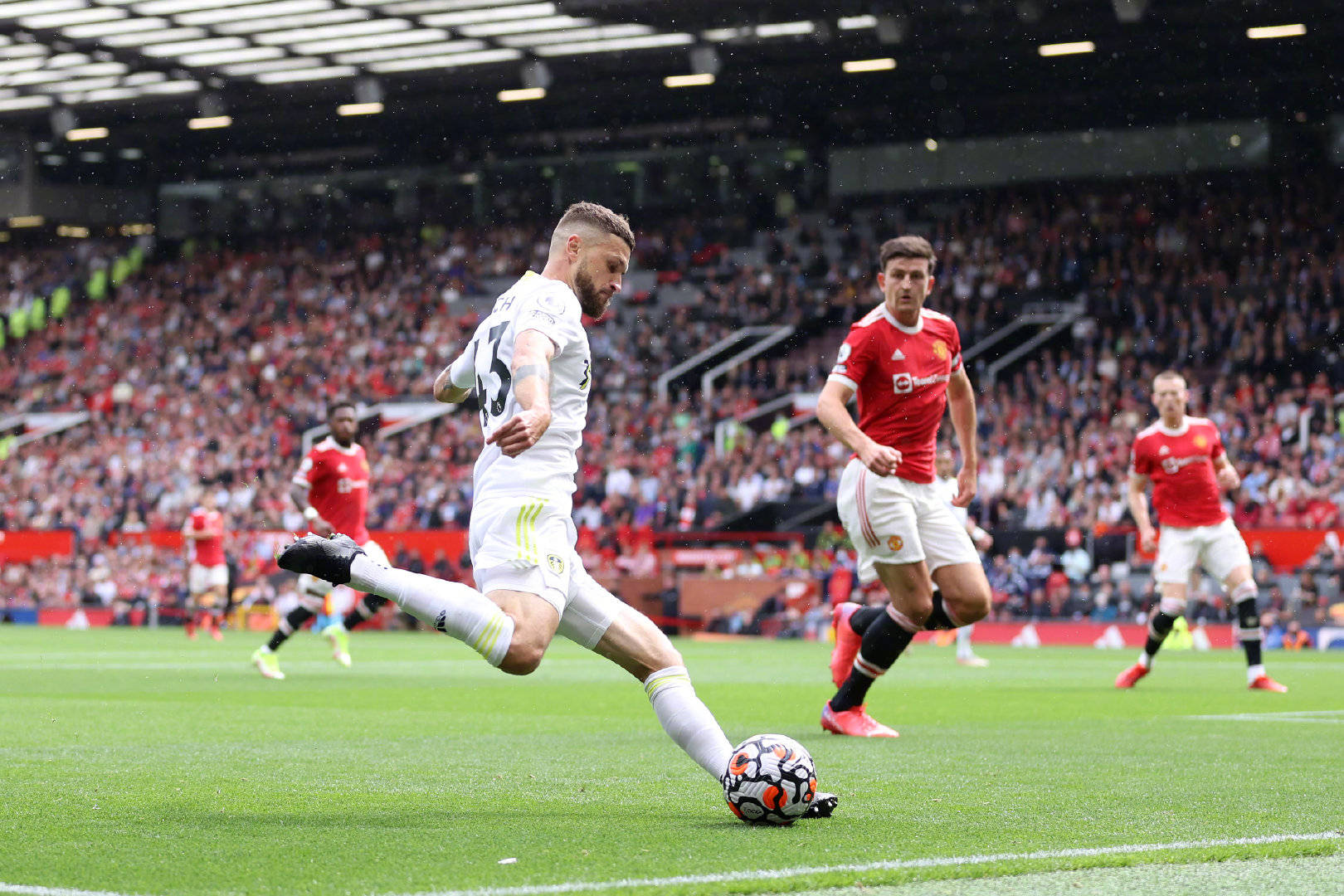 模化和集约 模化和集约