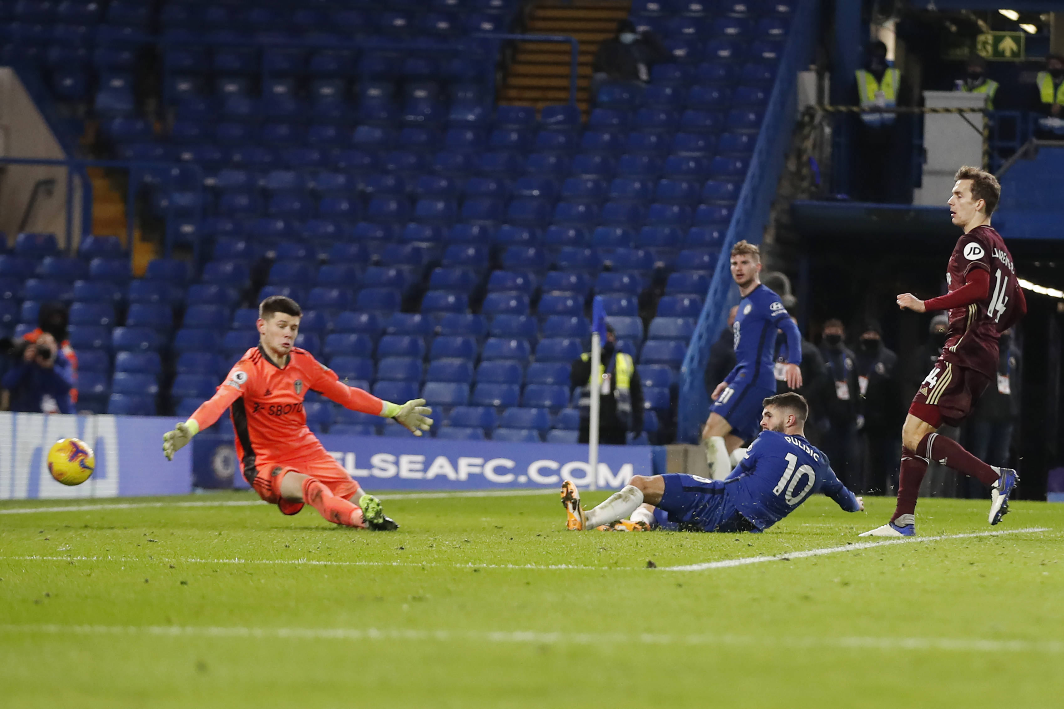 的白鸽在激 的白鸽在激